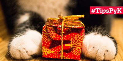 Carta al viejito pascuero: ¿Qué regalar a tus mascotas esta navidad?