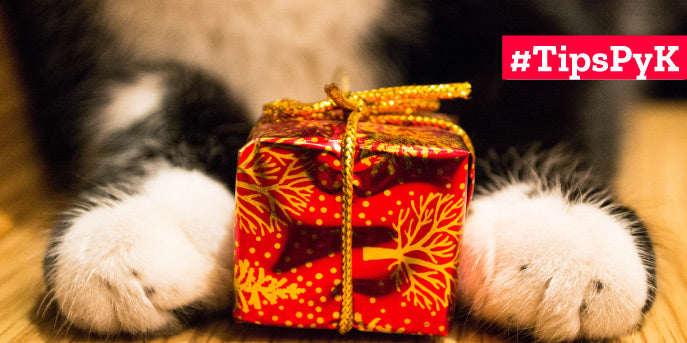 Carta al viejito pascuero: ¿Qué regalar a tus mascotas esta navidad?
