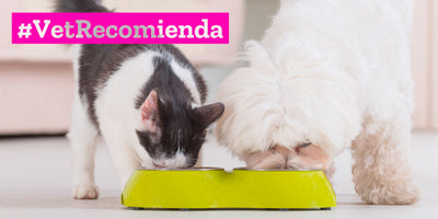 ¿Por qué comprar el alimento para mascotas en una tienda especializada veterinaria y no en los supermercados?