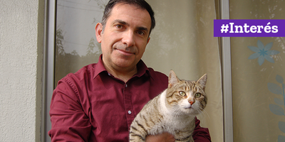 Adopté un gato con problemas neurológicos