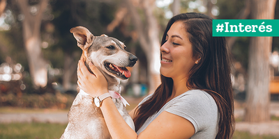 Terapia con mascotas: los animales como sanadores
