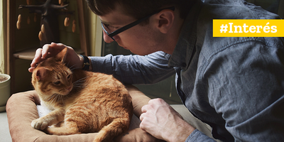 Las 5 Consultas Más Frecuentes En Las Clínicas Veterinarias