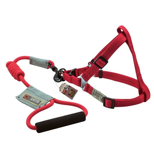 arnés_y_correa_de_tracción_rojo_talla_m_1
