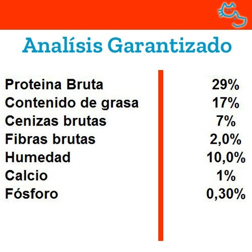 belcando_cachorro_gravy2_4002633557025.jpg