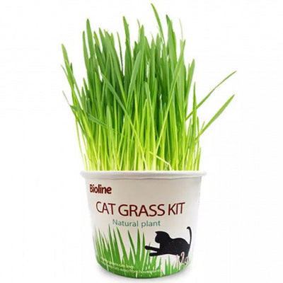 bioline_cat_grass2_gato_6970117124088.jpg