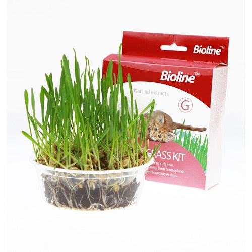 bioline_cat_grass_gato_6970117124088.jpg