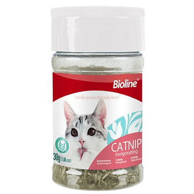 Catnip Hierba Gatera Frasco 30 gr