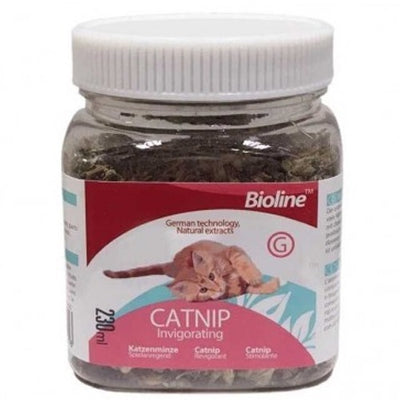 bioline_catnip_gato_6970117121216.jpg