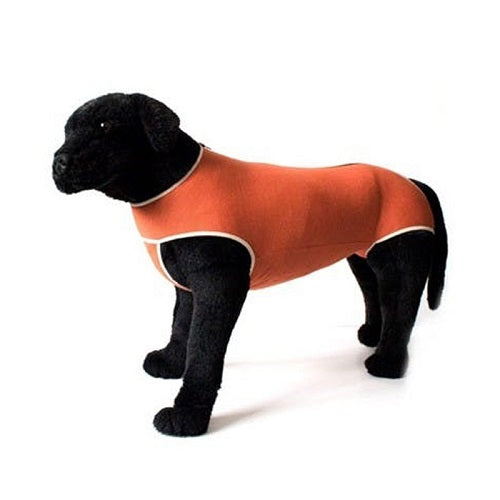 body_cobre_post_operatorio_perro_781683604213.jpg