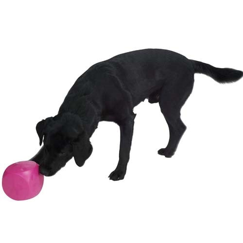 buster_juguete_cubo2_perro_5703188248817.jpg