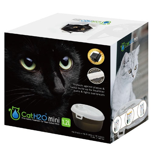 cat_h20_fuente_agua2_gato_4897030559327.jpg