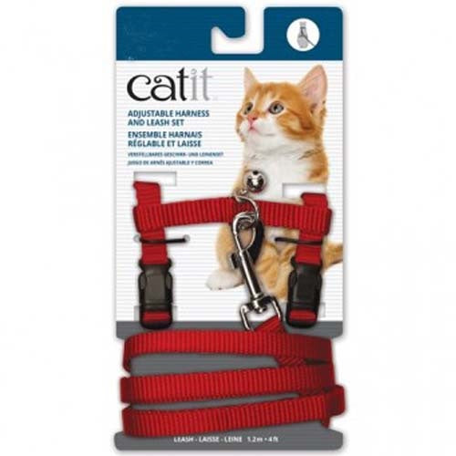 cat_it_arnes_rojo_gato_022517553817.jpg