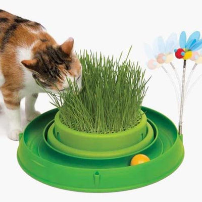 cat_it_circuito_3en1_juguete_con_catnip_felino_022517430026.jpg