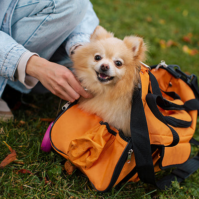 Certificado de Viaje