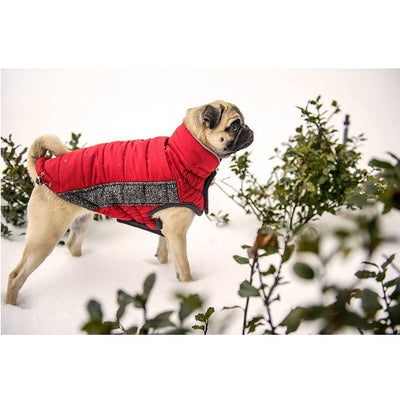 chaqueta_oxford_rojo_gris_s_parka2_gepet_perros_824348405309.jpg