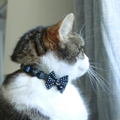 embellished_collar_bow_tie_black_2