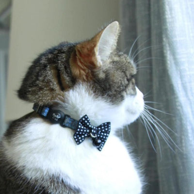 embellished_collar_bow_tie_black_2