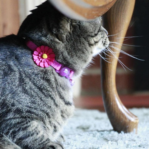 embellished_collar_flores_rosado_2