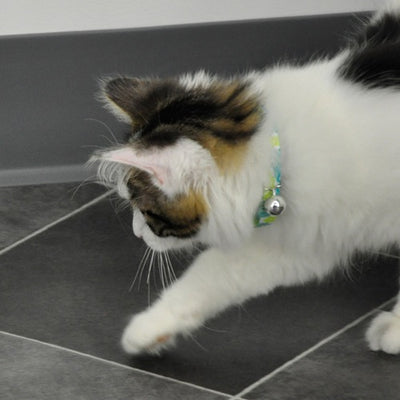 fashion_scales_collar_cat_2