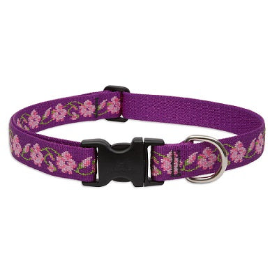 collar1rosegardentallal_collar_lupine_perros_746889852537.jpg