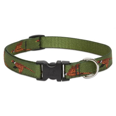collar34flyawaytallam_collar_lupine_perros_746889841029.jpg