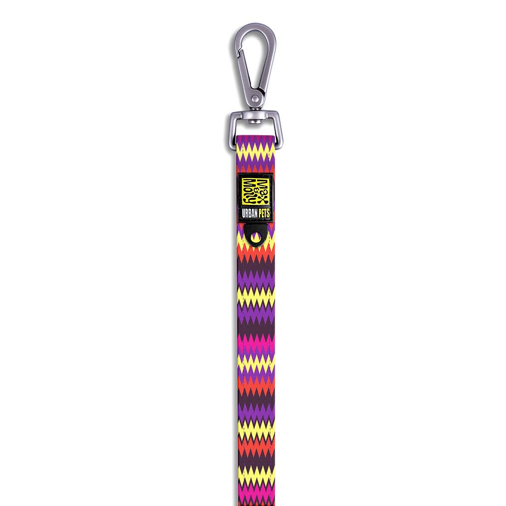 collar_latte_s_200000006241.jpg