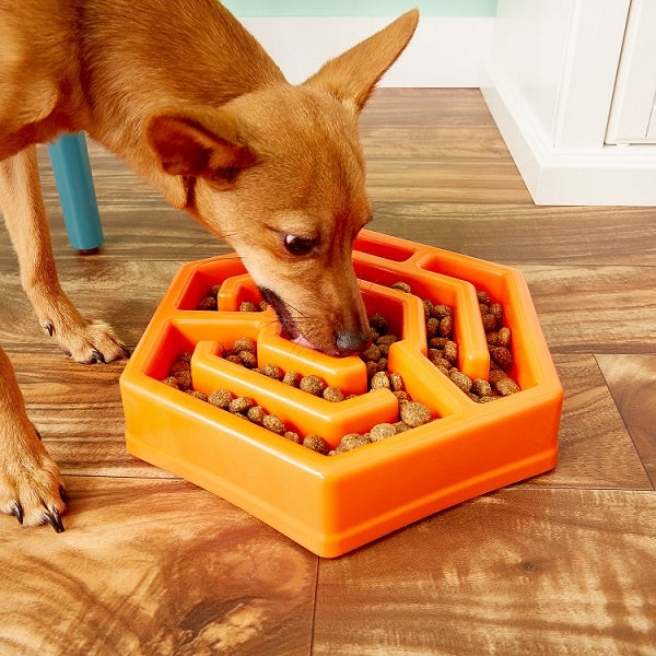 comedero_interactivo_hexagono2_naranjo_comederos_animal_care_canino_188094000608.jpg