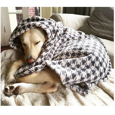 comercial_cgb_tall_tails_frazada_hounstooth_perro_2_022266138372.jpg