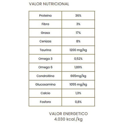 cooking_esterilizado2_gato_8436022860476.jpg