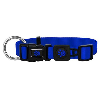 doco_collar_azul_perro_888886028154.jpg