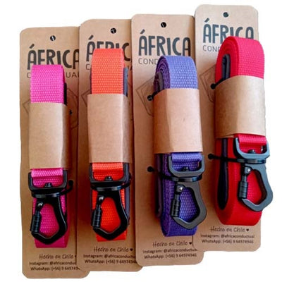 dogtricolor_africa_correa2_3_mts_perro_2003097979797.jpg