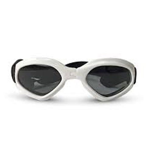 dog_goggles_lentes_sol_perro_781718648523.jpg