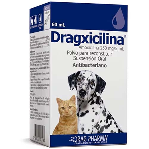 dragxicilina_medicamento_perro_gato_7800006003189.jpg