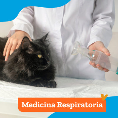 Consulta Especialidad Medicina Respiratoria