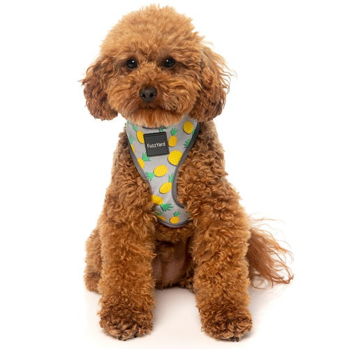 fuzzyard_arnes_perro_pina_colada2_9345719033644.jpg