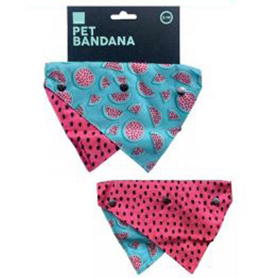 fuzzyard_bandana_perro_summer_punch_9345719046699.jpg