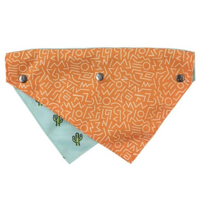 fuzzyard_bandana_perro_tucson2_9345719019358.jpg