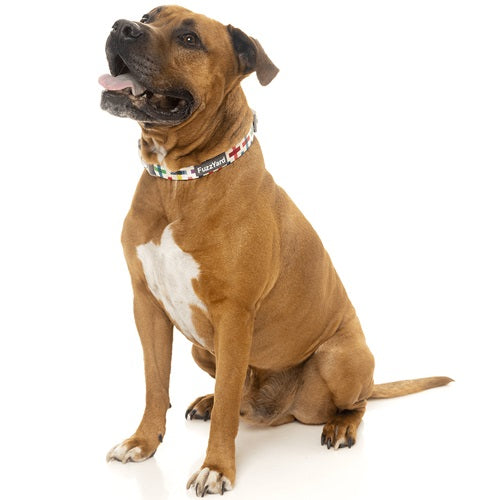 fuzzyard_collar_perro_jenga2_9345719039370.jpg