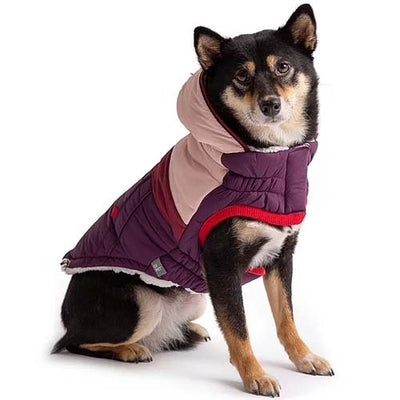 gfpet_parka_morado2_perro_824348732733.jpg