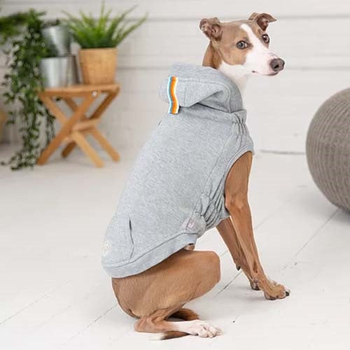 gfpet_poleron_gris2_perro_824348728125.jpg