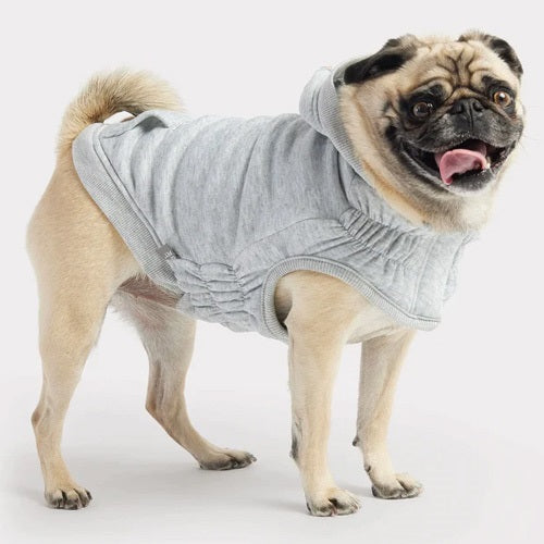 gfpet_poleron_gris2_perro_824348728170.jpg