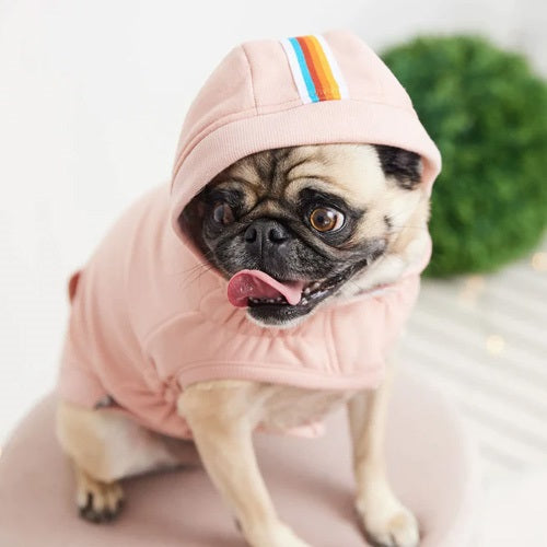 gfpet_poleron_rosa2_perro_824348728323.jpg