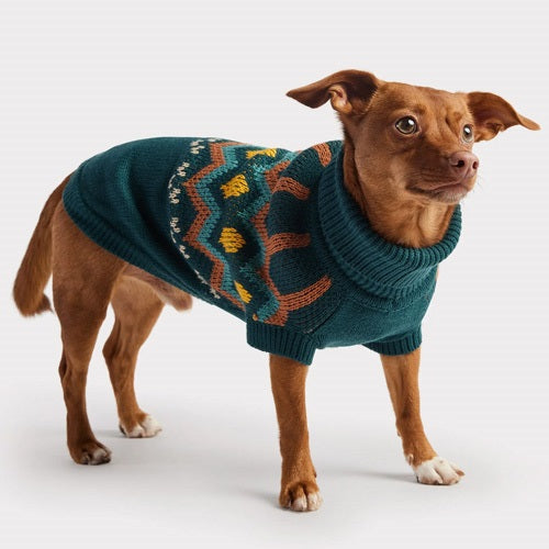 gfpet_sueter_verde2_perro_824348896282.jpg