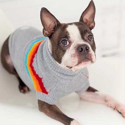 gfpet_sweater_gris2_perro_824348733150.jpg