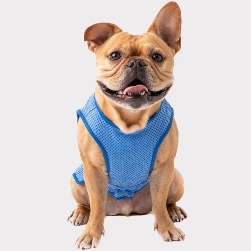 gf_pet_chaleco2_perro_824348685527.jpg