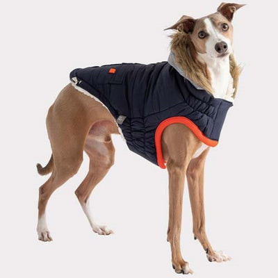 gf_pet_parka2_perro_824348859287.jpg