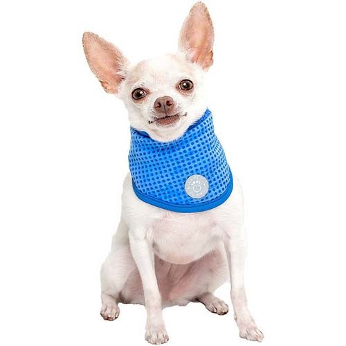 gf_pet_ice_bandana2_perro_824348309225.jpg