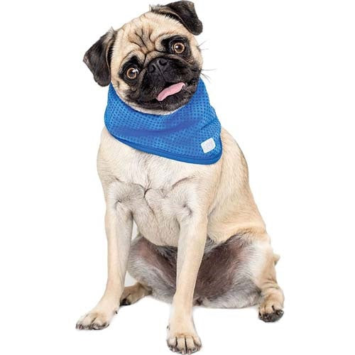 gf_pet_ice_bandana2_perro_824348309324.jpg