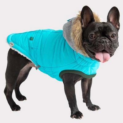 gf_pet_parka2_perro_824348859737.jpg