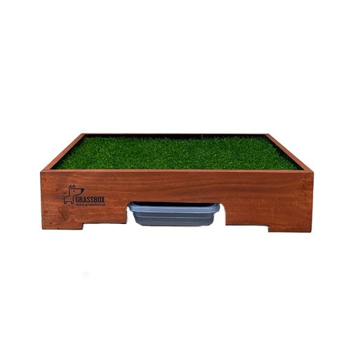 grassbox_baño_pasto_sintetico1_perro_0763331492080.jpg